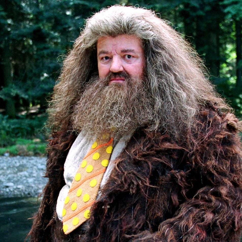 Harry Potter serisinde canlandırdığı Rubeus Hagrid karakteriyle akıllara kazınan Robbie Coltrane, 72 yaşında hayata gözlerini yumdu.