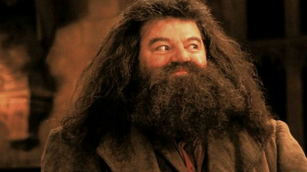 getFANDOM's tweet photo. Robbie Coltrane, famously known as Rubeus Hagrid in the Harry Potter series, has died at 72 https://t.co/p3dlagqphD