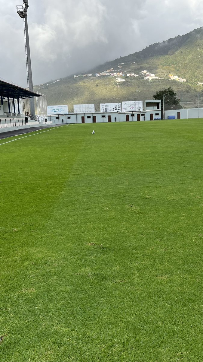 udorotava_'s tweet photo. 👀 Alguien nos ha querido visitar bajo la lluvia ☔️

Aunque las fotos no eran su actividad preferida…🧐 https://t.co/OkEtLYoX0o