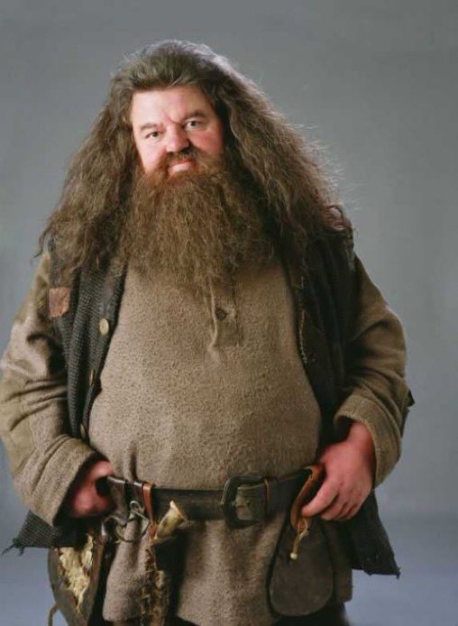 Noticia triste.

Ha fallecido el gran Robbie Coltrane a los 72 años, conocido especialmente por interpretar a Hagrid en la saga Harry Potter.