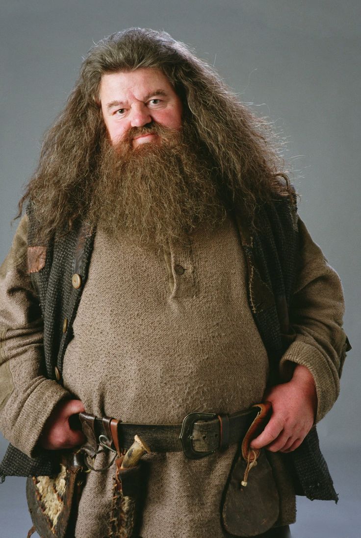 extreme_sources's tweet photo. Robbie Coltrane dead

Extreme Source Confirmed: @ransalect 

#ExtremeSources #RIPRobColtrane #Hagrid #HarryPotter #YoureAWizardHarry #DryUpDursleyYouOldPrune #LeakyCauldron #ButterBeer https://t.co/JBFtJalX2z
