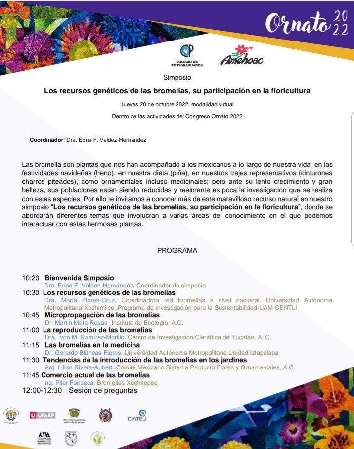 AMEHOAC's tweet photo. Como parte del XVIII CN y XI IHO🇲🇽, el día jueves 20 de octubre se llevará a cabo el Simposio "Los recursos genéticos de las bromelias, su participación en la floricultura"🌼, bajo la coordinación de la Dra Edna Valdez

📣NO FALTES📣

XVIII CN y XI IHO del 19 al 21/10/2022 https://t.co/I9Lq9nWT0k