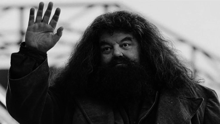 "  — Kim pan jest? 
      Olbrzym zacmokał.
      — Cholibka, przecież ja się nie przedstawiłem. Rubeus Hagrid, strażnik kluczy i gajowy w Hogwarcie". 💔