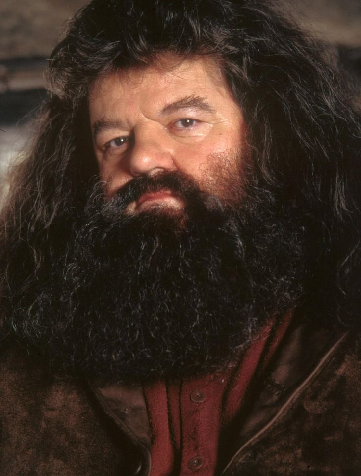 Rest in Peace Robbie Coltrane! 
He portrayed everyones favorite half-giant, Rubeus Hagrid.

Raise Your Wands /*