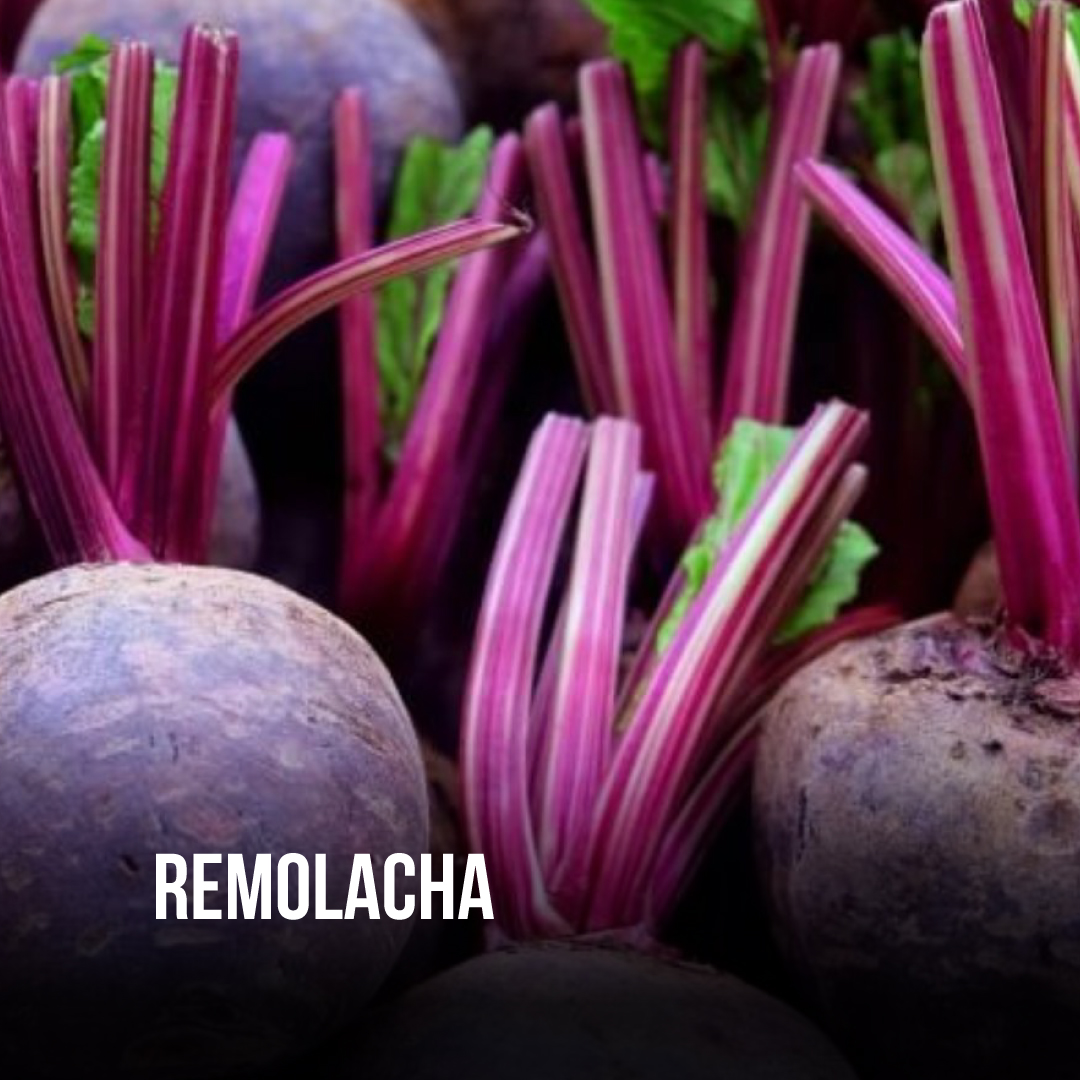 MPASFE's tweet photo. Puro color, con un sabor dulce y terroso. La remolacha es ideal para sumar a tus ensaladas, sopas, encurtidos, cremas, snacks y postres💜
Buscá las mejores en #MercadodeSantaFe, el único centro habilitado para el comercio mayorista de frutas y verduras en la ciudad de Santa Fe👌 https://t.co/mGlWD9CX2o