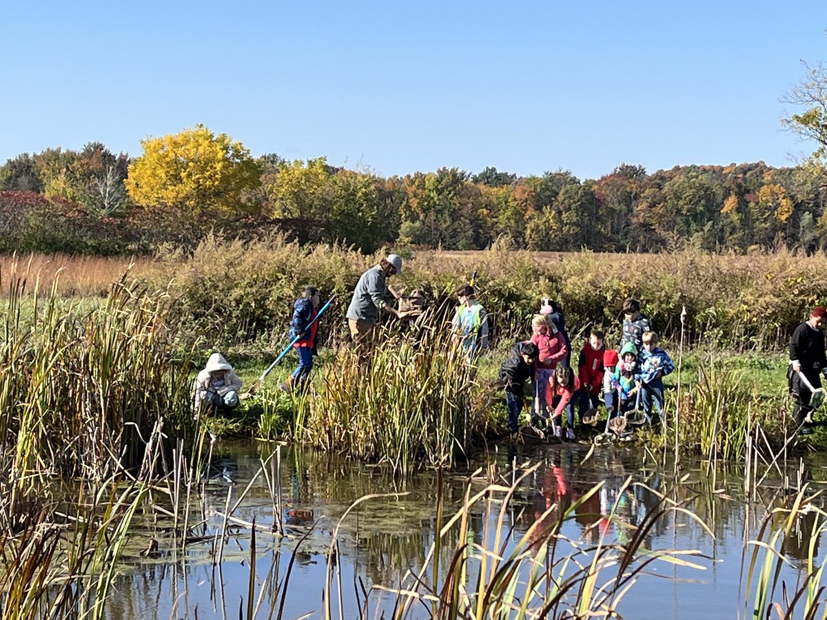 jclendenen2's tweet image. Second graders learning about wetlands and animals that live in them at the Montezuma Audubon Center💙#SFCSDPROUD