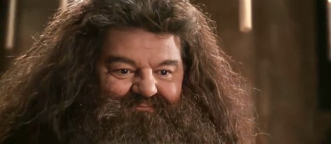 deadpoetstan's tweet photo. Harry: Hogwarts non esiste senza di te Hagrid.

un’immagine che puoi sentire

RIP Robbie Coltrane💔 https://t.co/5jCzMNFJsf