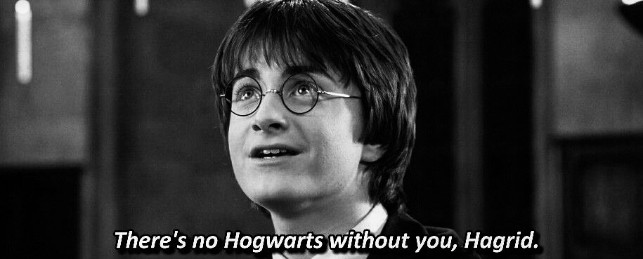 SacredSlytherin's tweet photo. “There’s no Hogwarts without you, Hagrid” https://t.co/DlZrNZ8C2E