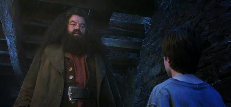 cacocardassi's tweet photo. Ao resgatar Harry dos tios, Hagrid me resgatou também. 
Ao levar Harry para o mundo bruxo, Hagrid também me levou. 

Robbie Coltrane sem nem saber da minha existência, era, dando vida a Hagrid, uma figura de conforto, amizade, acolhimento. 

😭 https://t.co/nPkaeaadSU