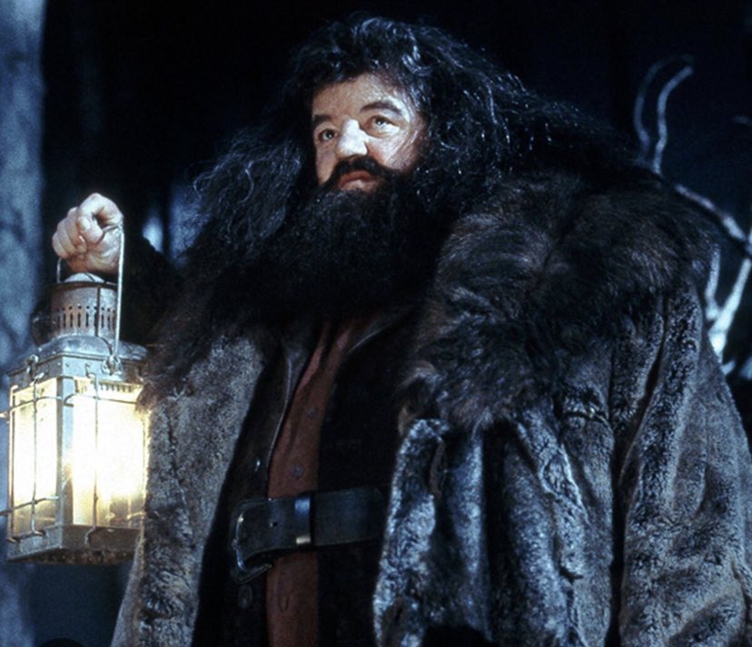 Another great light has been extinguished today RIP #RobbieColtrane #hagrid #cracker