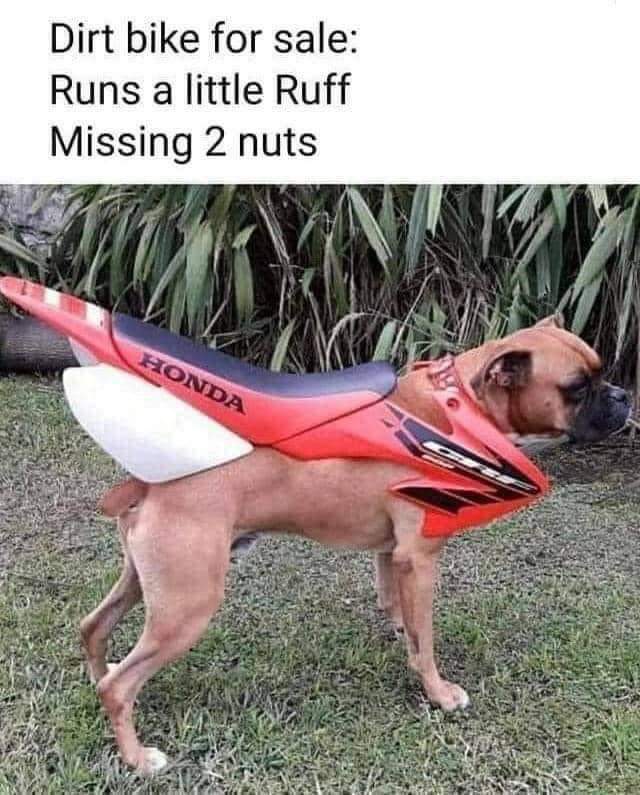 This gave me a good laugh this morning 😂
