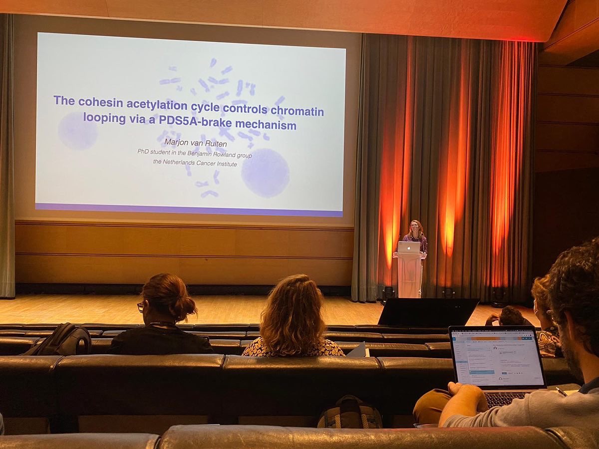 Marjon van Ruiten tweet media