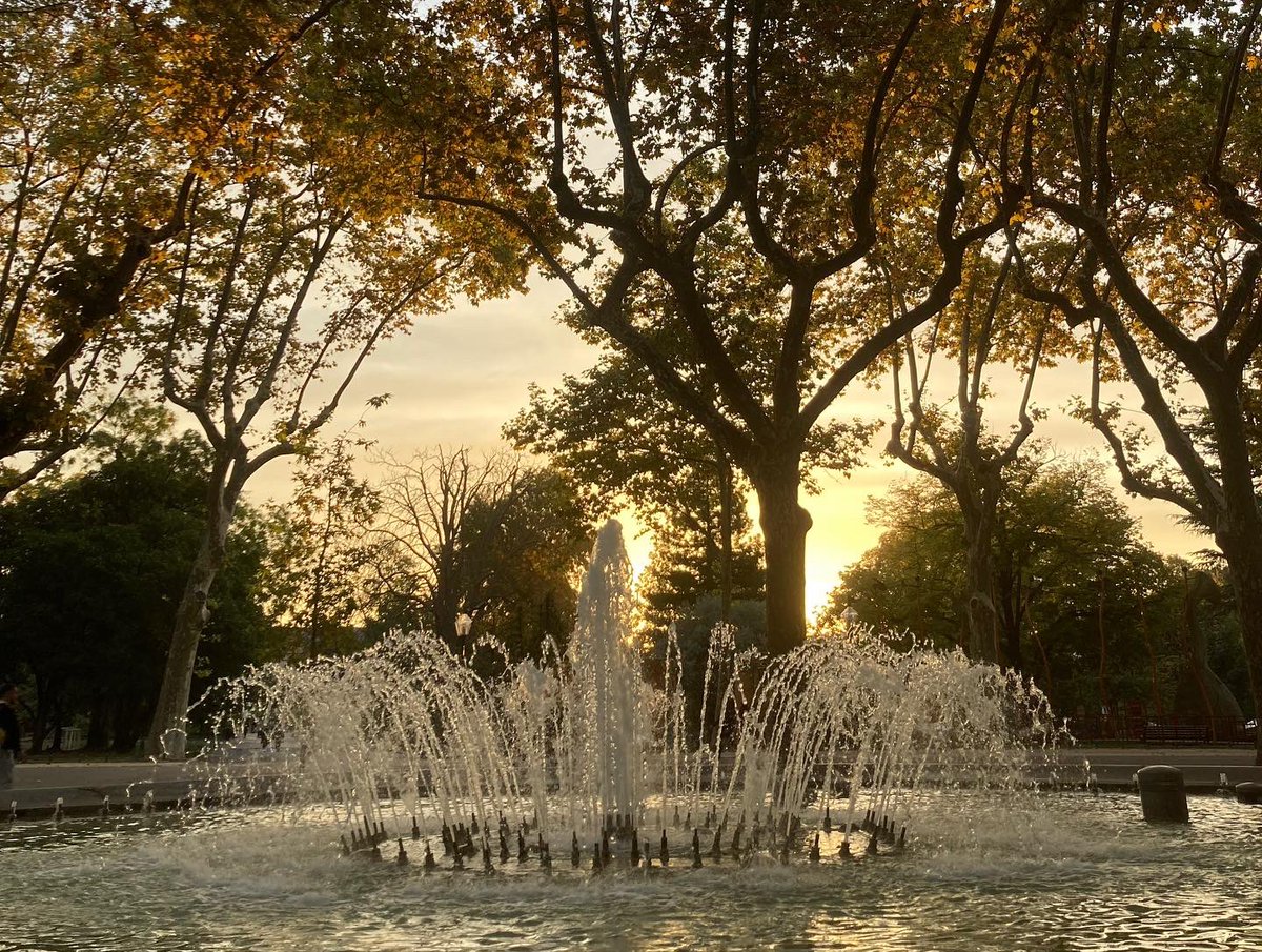 Marjon van Ruiten tweet media