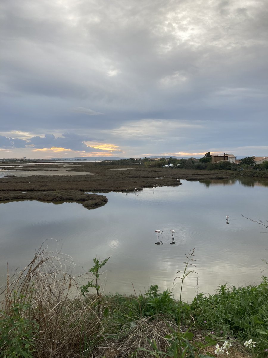 Marjon van Ruiten tweet media