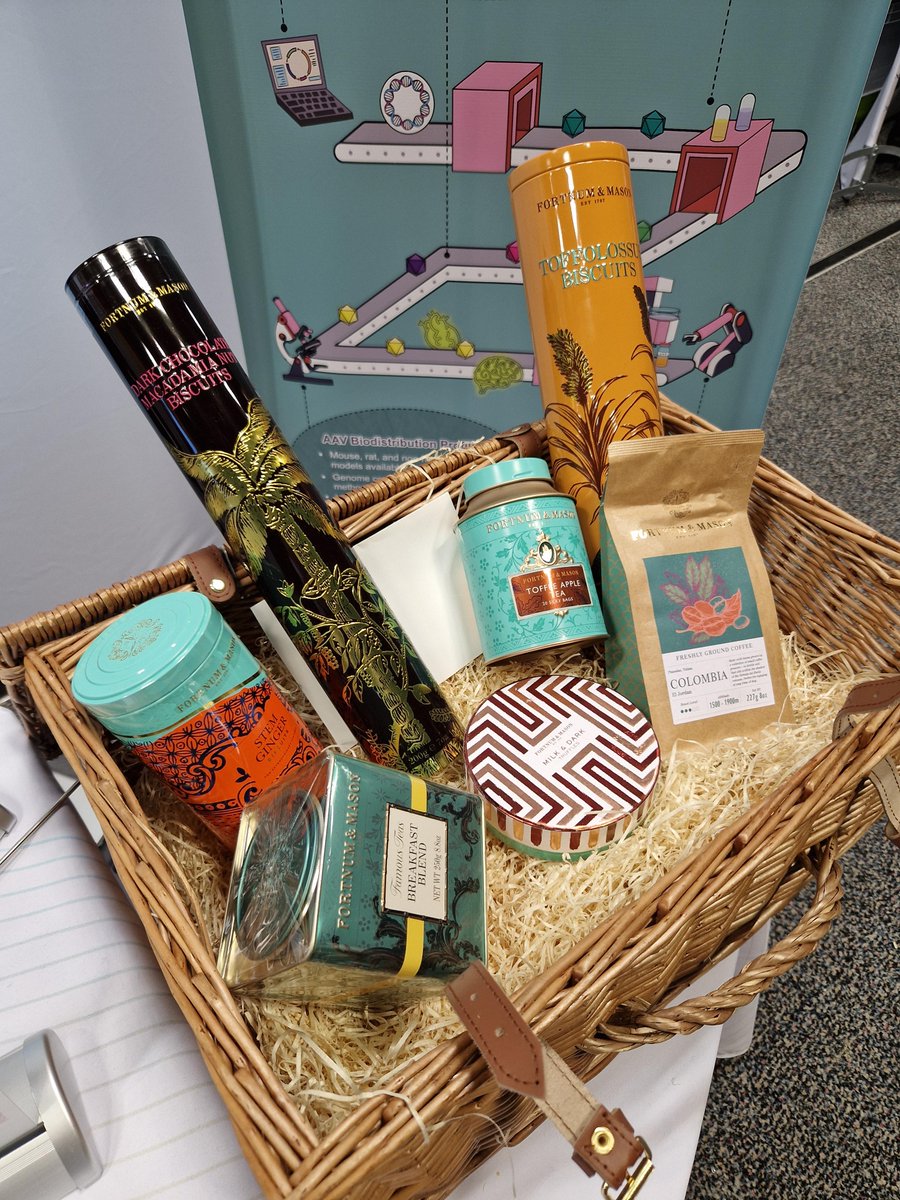 VectorBuilder tweet media