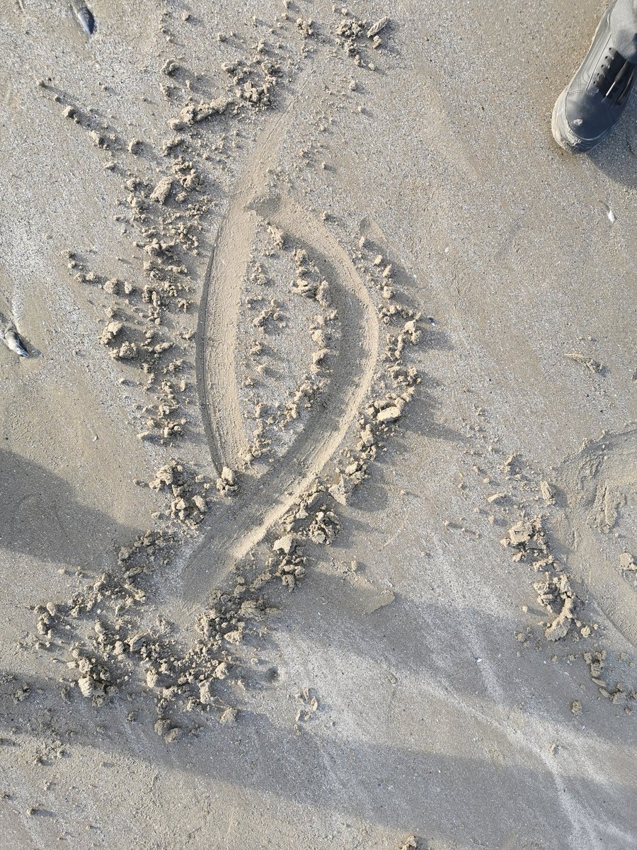 _MsLeahBrophy_'s tweet photo. 1B at the beach being sneaky Christians trying to identify each other secretly while keeping our religious identify hidden from the Roman Guards!🕵️👀 Delighted to report we only lost a couple of students to Roman Persecution! 😂 @stjosephsrush @KielyEmer #ichthus #RE #1stYear https://t.co/Nu2AODUog8