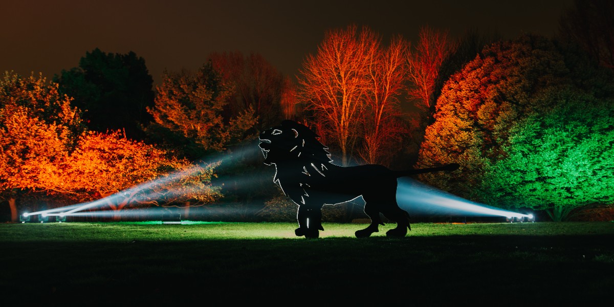 The Enchanted Woodland is all about the trees, but also includes projections onto the east façade of Syon House, music, smoke and a spectacular laser display.

Our biggest strength is the sheer dedication of our team who put their lives on hold for a month to make it happen. ✨