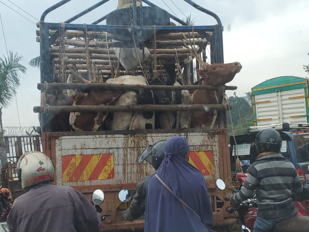 Gladys Kamasanyu tweet media