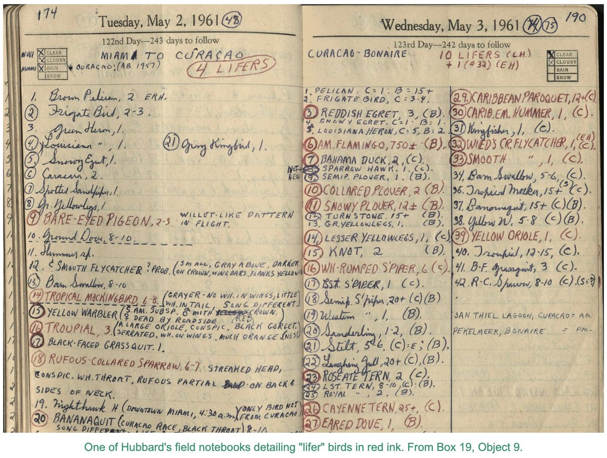 FOSBirds's tweet image. What better way to celebrate the 50th anniversary of The Florida Ornithological Society than by diving into its history? USF Libraries’ historical exhibit is now public and mounted online with their other environmental exhibitions, check it out! 

lib.usf.edu/special-collec…