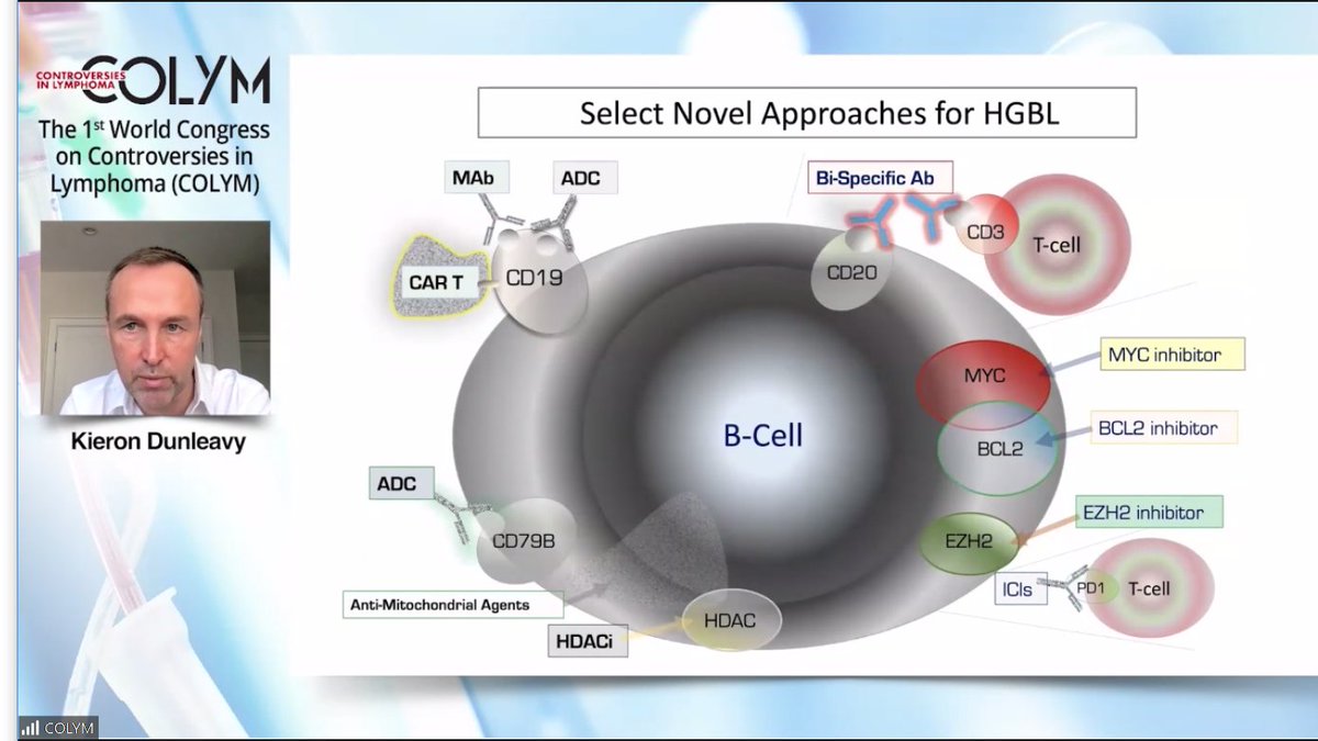 DA-EPOCH-R is SOC in DHL/THL aggressive B-cell. Position defended by the very best <a href="/DunleavyKieron/">Kieron Dunleavy</a> in 1st #colym <a href="/TheIACH/">IACH</a> #lymsm