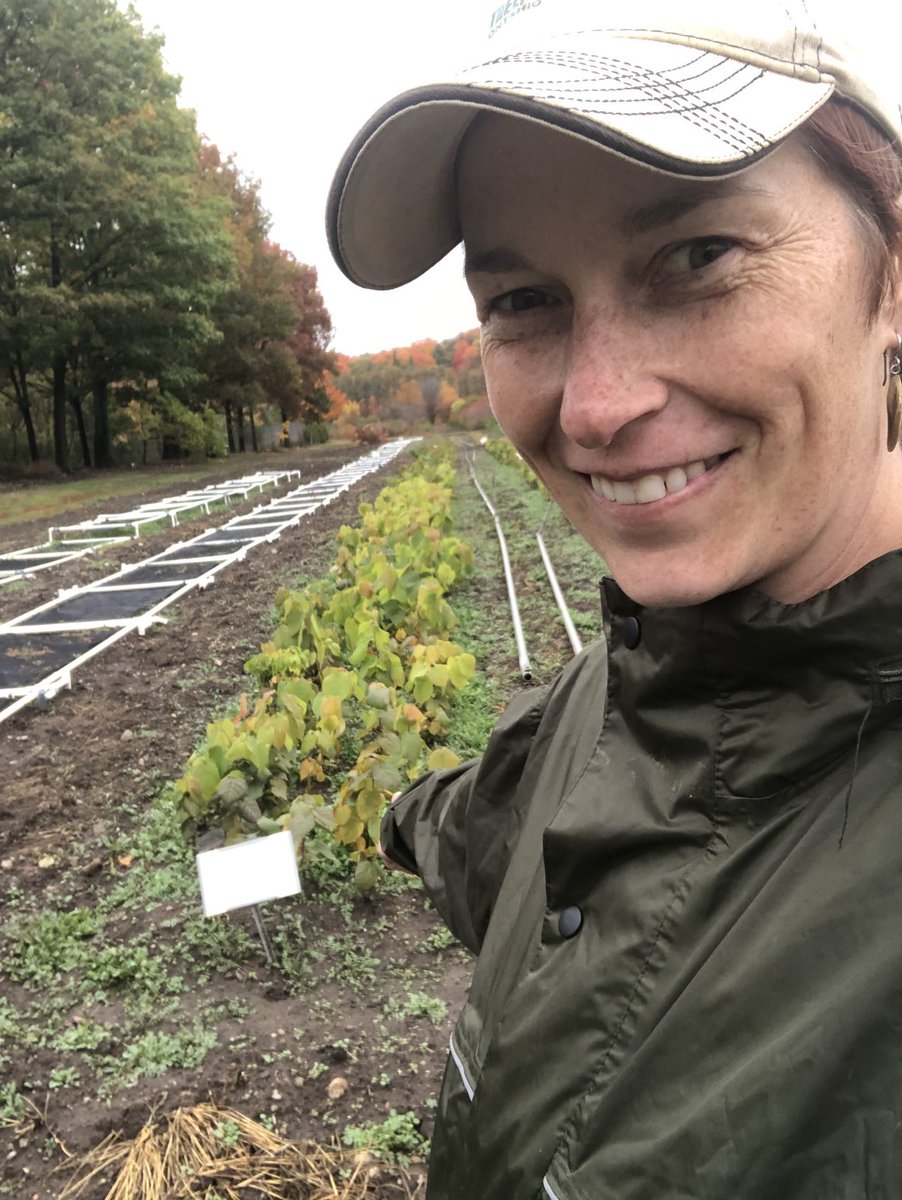 Epitetj's tweet photo. #SeedsandStories #IndigenousSeedCollectionProgram  #SeedsForOurFuture #IndigenousSeedCollection Melissa spent the day at Rouge NP with great people, lots of great things going on here! https://t.co/2ZWKJdx3iL