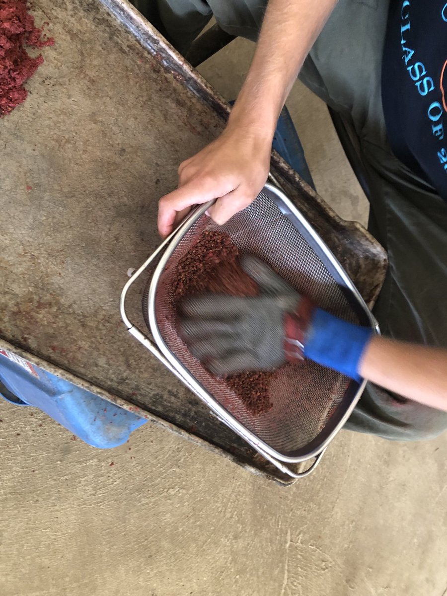 Epitetj's tweet photo. #SeedsandStories #IndigenousSeedCollectionProgram  #SeedsForOurFuture #IndigenousSeedCollection Melissa spent the day at Rouge NP with great people, lots of great things going on here! https://t.co/2ZWKJdx3iL