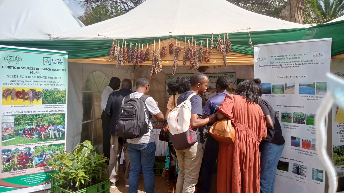 HumanRightsMPs's tweet photo. @HumanRightsMPs attended the indigenous seeds &amp; food culture harvest fair hosted by @BIBA_Kenya @routetofood
&amp; other partners. We must emphasize the importance of indigenous &amp; organic foods for a healthier, food secure future.
#WorldFoodDay2022 #Food #RightToFood https://t.co/C5swGOFvOm