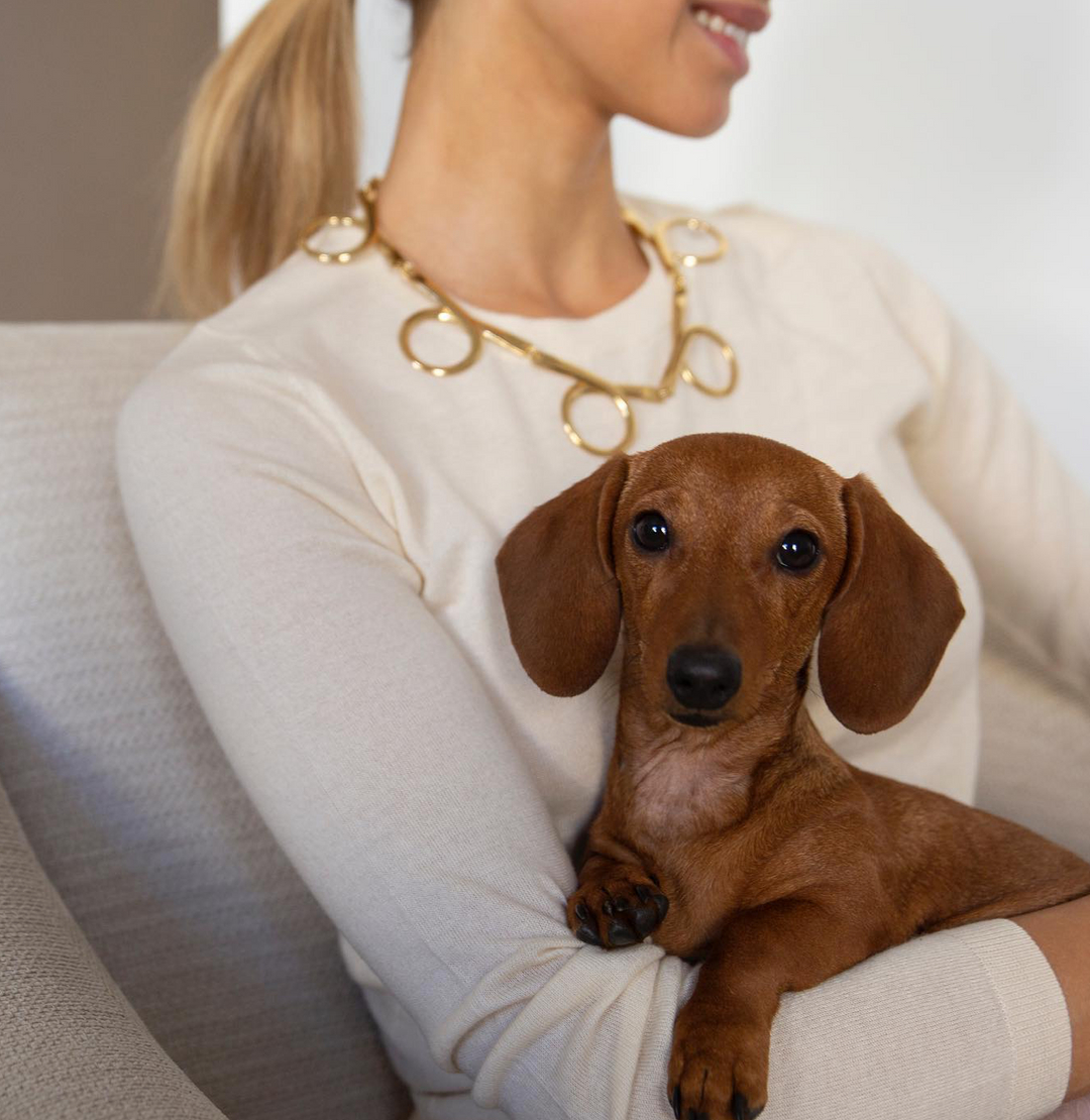 JdnPaper's tweet photo. Este collar de @smallaffaire tiene un diseño que fusiona lo tradicional y lo contemporáneo. ¡Perfecto para darle un toque especial a tu look de invitada! Echa un vistazo a su perfil y enamórate de todas sus joyas.

--

This @smallaffaire necklace has a design that fuses the t https://t.co/I8ftCwWIL3