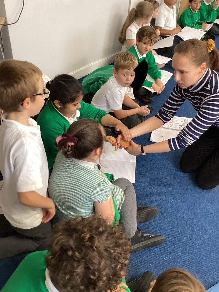 MPATilehurst's tweet photo. Year 3 had a super special visit from Hades, a real Bearded Dragon! We came up with some questions and interviewed him! #Dragonfun #NoHeDoesNotBreathFire https://t.co/Co9qCsZ50h