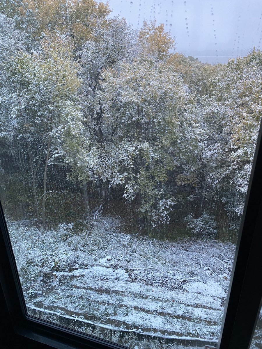 Tom Fahey tweet media