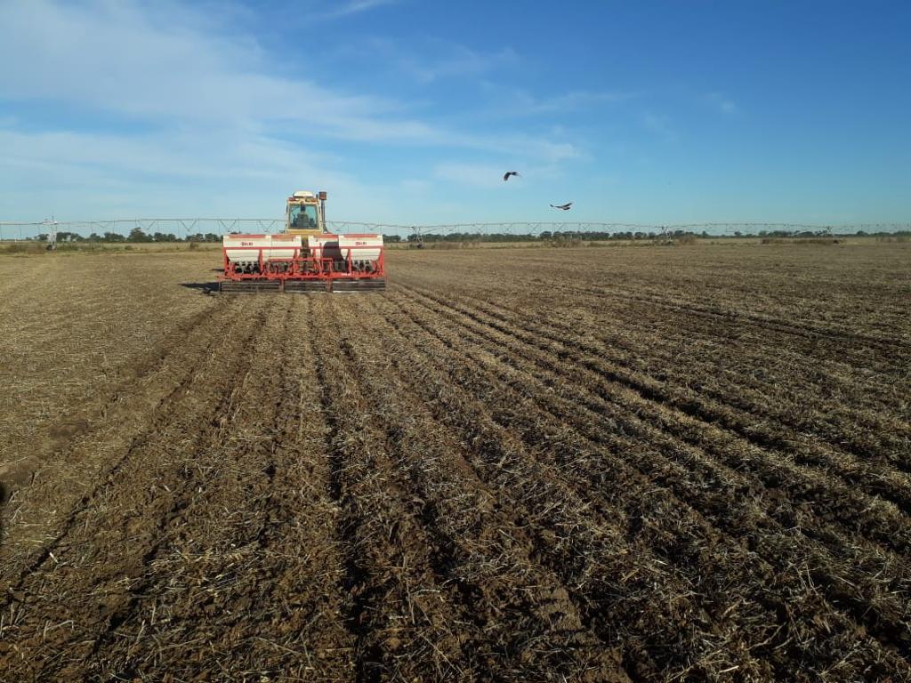 13 de Octubre, dia Mundial del #Fertilizante. Responsable del 50% de la producción mundial de #alimentos