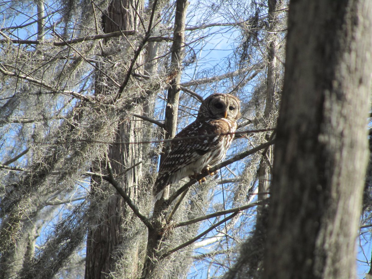 GreenSource EP, Inc. tweet media