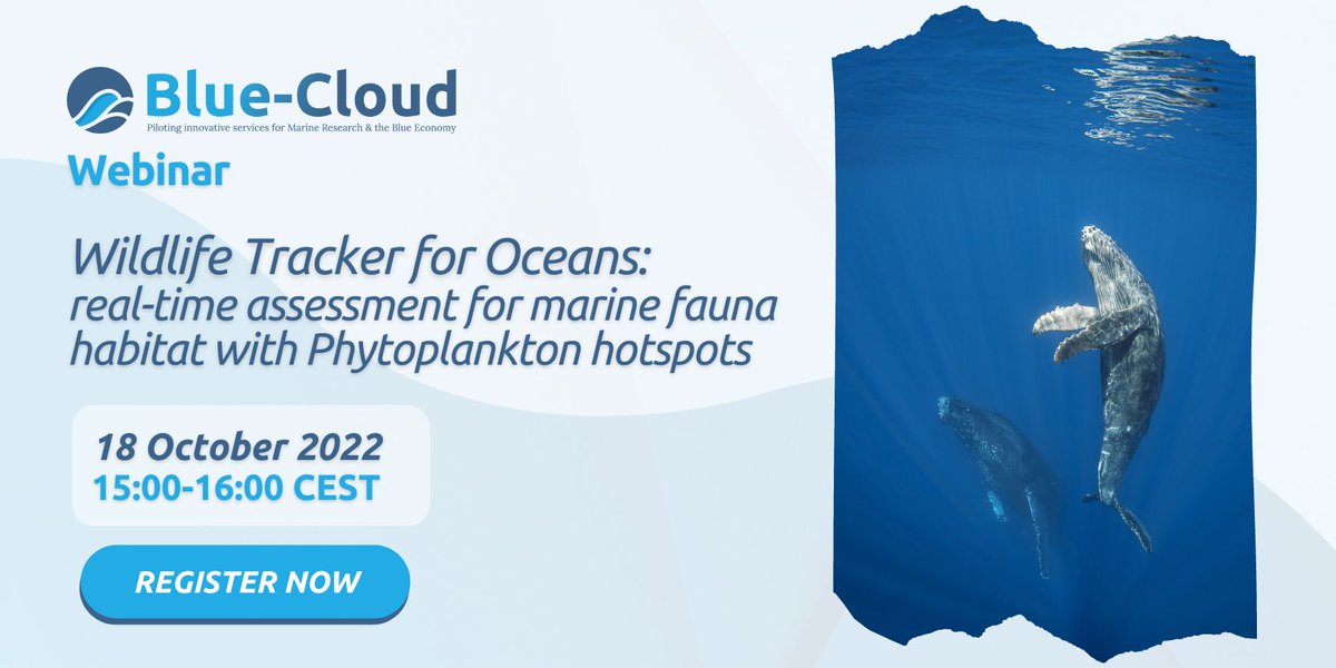 BlueCloudEU's tweet photo. The "Wildlife Tracker for Oceans" is a geo-framework for the real-time assessment of Marine Protected Areas.
Discover this innovative application awarded at the #BCHackathon and meet the experts behind it in our webinar on 18 Oct!
Register: https://t.co/2V1cdkQs6p
#oceandecade https://t.co/ue8IpGcqOu