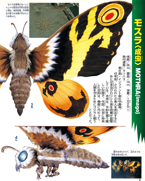 CallistoSFW's tweet image. If anyone needs a reference pic for Mothra (2003) here's a trio of pics I found while scrolling through Pinterest. 🦋
#Mothra2003 #MothraImago #GodzillaTokyoSOS #Toho #Reference