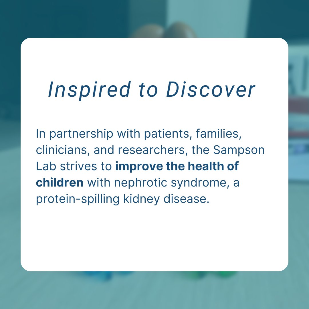 TheSampsonLab's tweet photo. Learn about our mission of discovering causes &amp; mechanisms of nephrotic syndrome, towards treatment and even cures 

Visit our website https://t.co/JFGRtmGjW2 for more information about our lab

#research #sampsonlab #bostonchildrenshospital #kidneyomics https://t.co/ED55U3OPa6