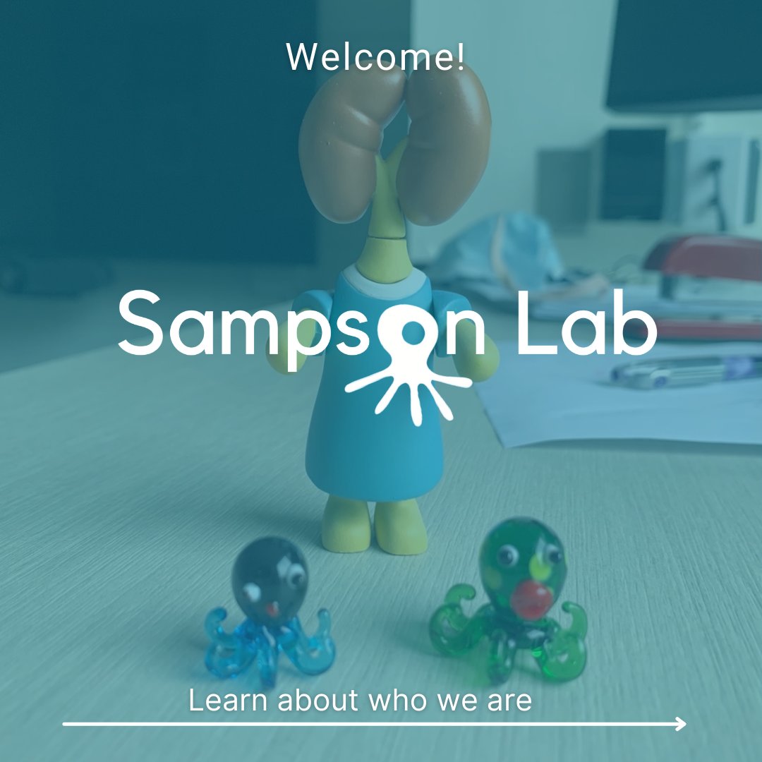 TheSampsonLab's tweet photo. Learn about our mission of discovering causes &amp; mechanisms of nephrotic syndrome, towards treatment and even cures 

Visit our website https://t.co/JFGRtmGjW2 for more information about our lab

#research #sampsonlab #bostonchildrenshospital #kidneyomics https://t.co/ED55U3OPa6