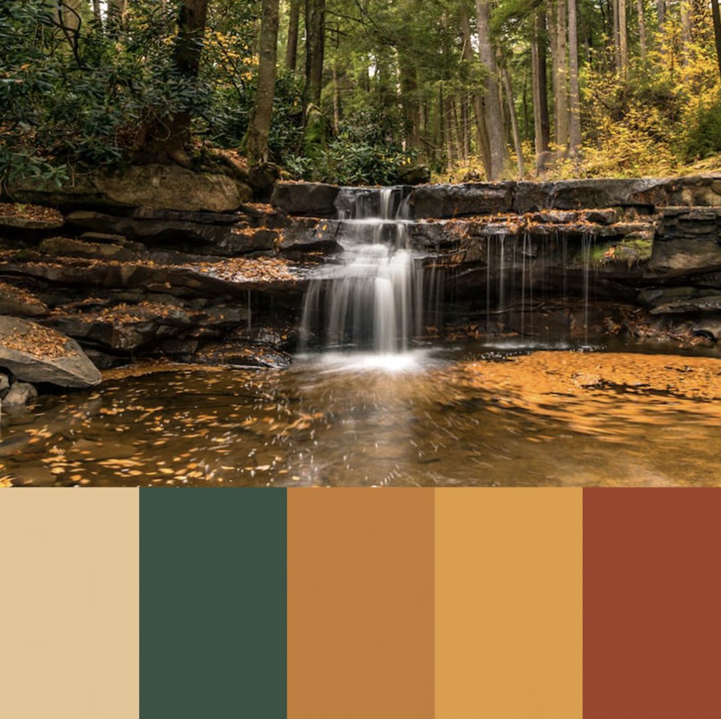 Redstart Creative tweet media