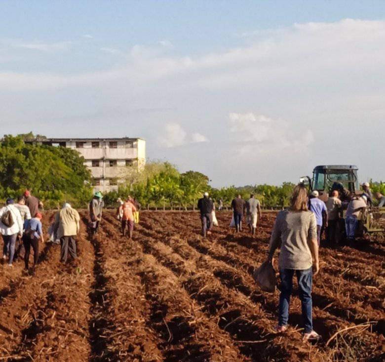 mariofsabines's tweet photo. 🌿Salvador Valdés Mesa, vicepresidente de la República de Cuba chequea en la provincia #Matanzas el programa de autoabastecimiento municipal.
Incrementar la producción de ciclos cortos, boniato, pepino y 🌽.
#MatancerosEnVictoria #GobMtz https://t.co/2hMqkcK5jI