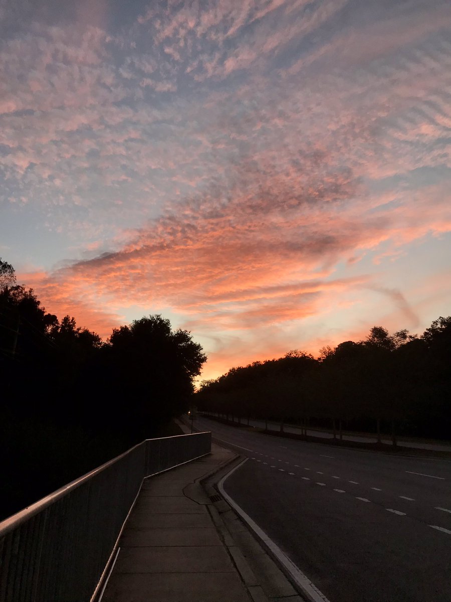 wortholomew's tweet photo. Let it all go, and take it all in.
Good morning from last night’s good night.
#IStandWithYou #Fitness #teamnuun #HSHive #PROAlumni #TeamAltra #SquirrelsNutButter #TeamROADiD #TeamULTRA #JoyWins #RunChat #WeRunSocial #IHeartTally #Sunset #Sky #SeenOnMyRun #SceneOnMyRun https://t.co/05yHldb4OM