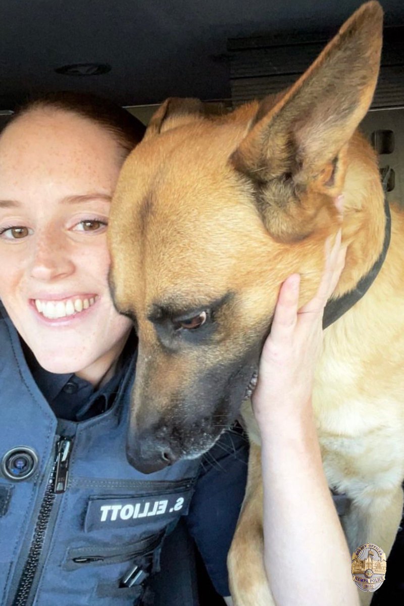 NampaPolice1's tweet photo. Wouldn’t it be nice to spend every shift with your BFF?!
Lucky dog!
#Teamwork #NPDK9 #K9Bolt #WeAreNampa https://t.co/JIsTX0CiqJ