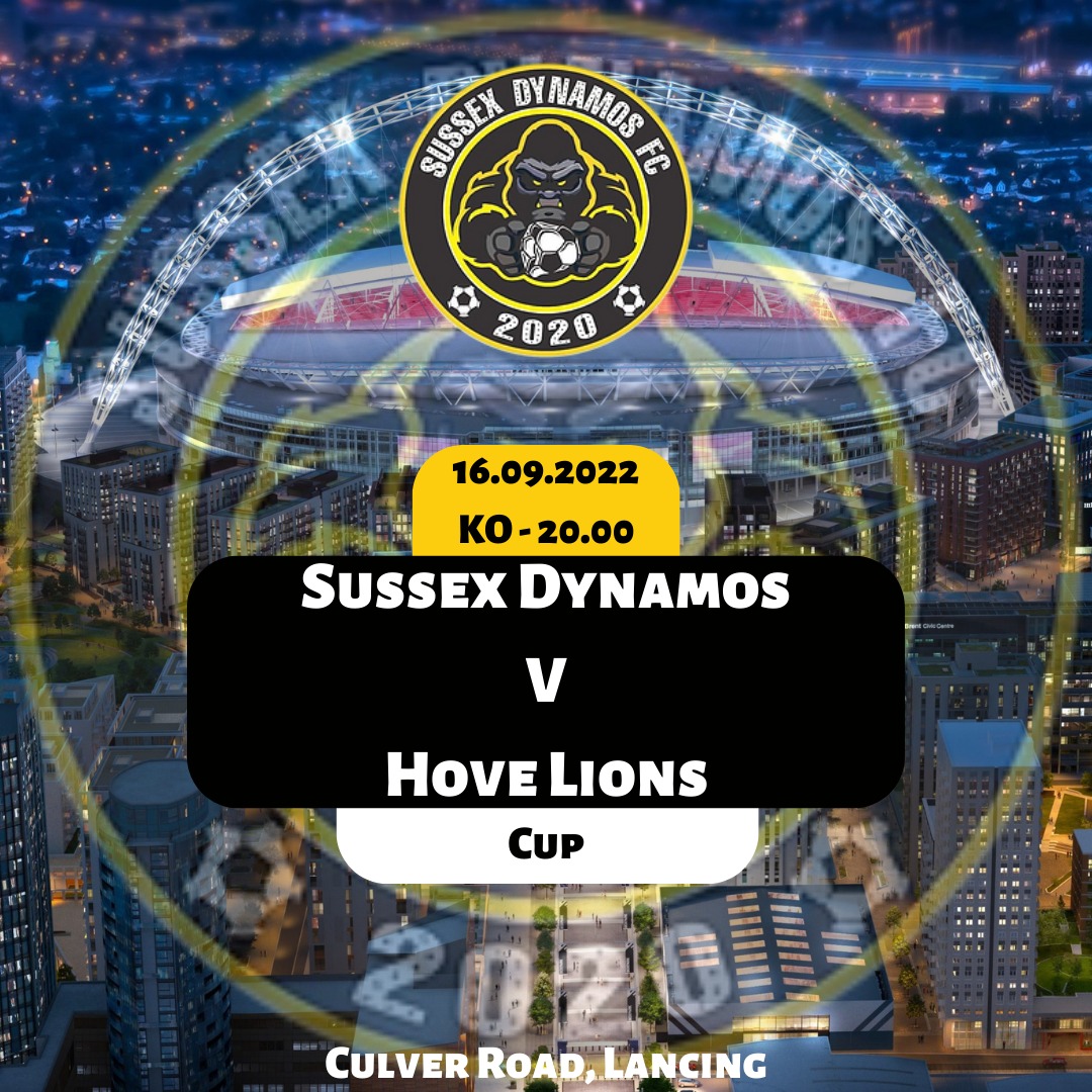 Game Sunday against our pals <a href="/1stHove/">Hove Park lions 1st and res . 🦁</a> few of our players returning to there old club