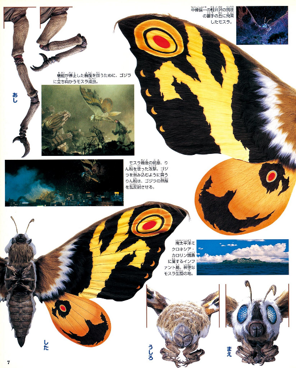CallistoSFW's tweet image. If anyone needs a reference pic for Mothra (2003) here's a trio of pics I found while scrolling through Pinterest. 🦋
#Mothra2003 #MothraImago #GodzillaTokyoSOS #Toho #Reference