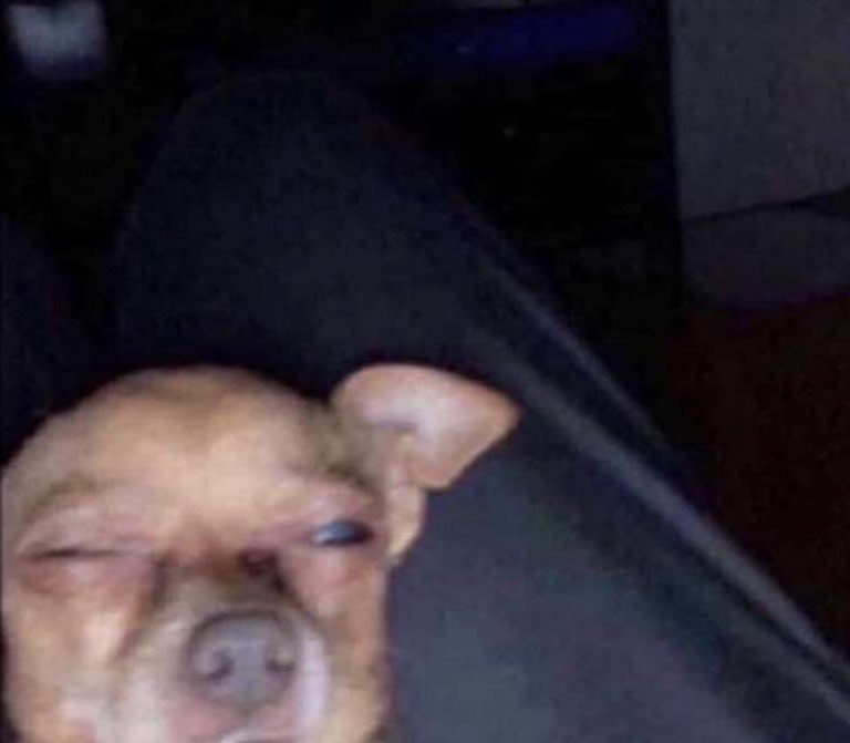 me checkin my phone to see what i missed while i was sleep.