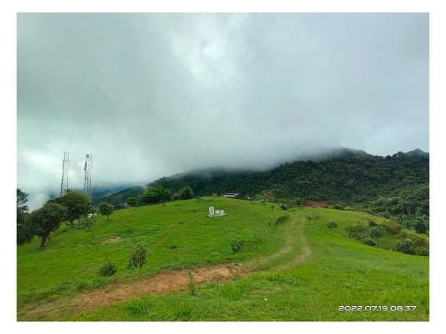 mizoraminsta's tweet photo. Darzo tlang, Darzo, Hnahthial District, Mizoram
.
.
Pic credit π· @p.chhana
.
#darzo #darzotlang #tlang #hill #mountain #landscape #green #greenery #peaceful #outing #holiday #season #serene #tranquility #scenery #hahdam #beautiful #mizoram #mizoraminsta #northeastIndia #travel https://t.co/bfbuvoYLzD