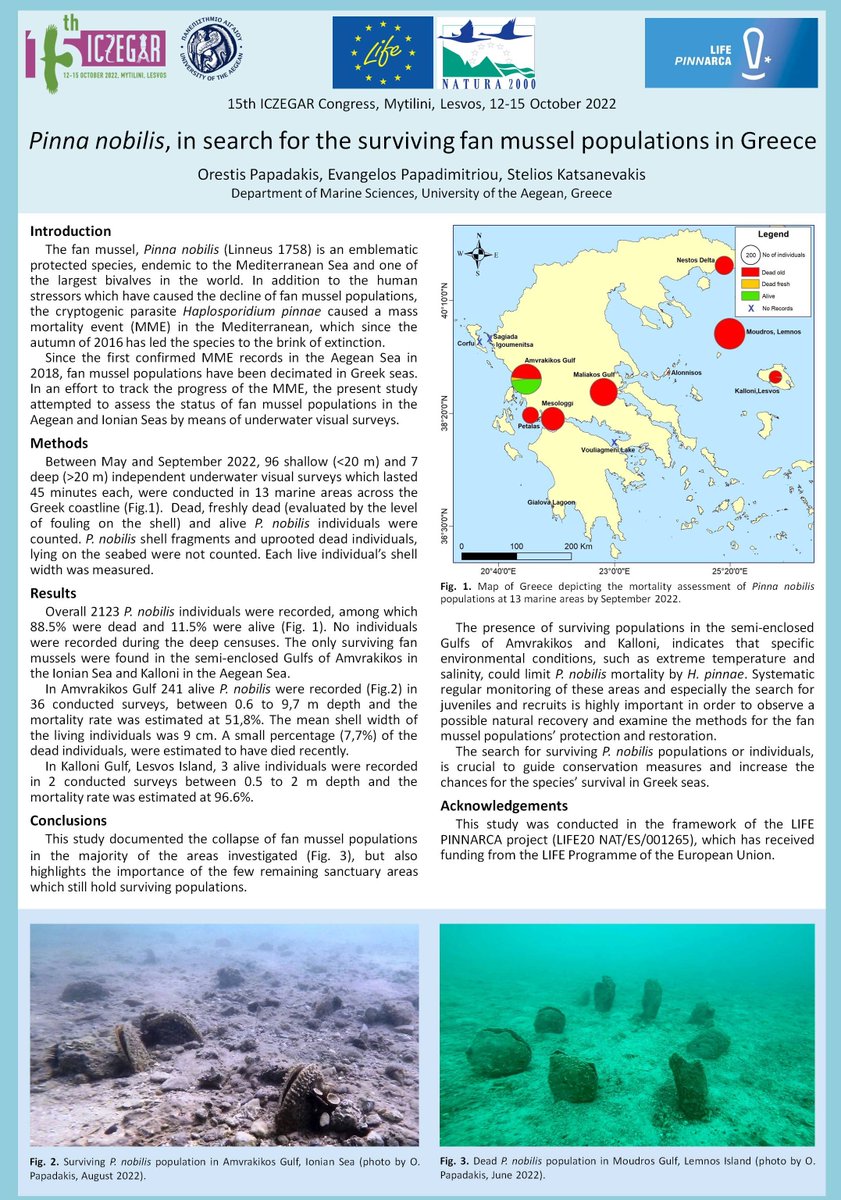Orestis Papadakis_Marine Ecology (@marineorestis) on Twitter photo "Pinna nobilis, in search for the surviving fan mussel population in Greece"
Poster at 15th #ICZEGAR Congress, Mytilini, Lesvos, 12-15 October 2022.
Conducted in the framework of the LIFE PINNARCA (<a href="/LPinnarca/">LIFE_PINNARCA</a>) project. Funded by <a href="/LIFEprogramme/">LIFE Programme</a>. "Pinna nobilis, in search for the surviving fan mussel population in Greece"
Poster at 15th #ICZEGAR Congress, Mytilini, Lesvos, 12-15 October 2022.
Conducted in the framework of the LIFE PINNARCA (<a href="/LPinnarca/">LIFE_PINNARCA</a>) project. Funded by <a href="/LIFEprogramme/">LIFE Programme</a>.