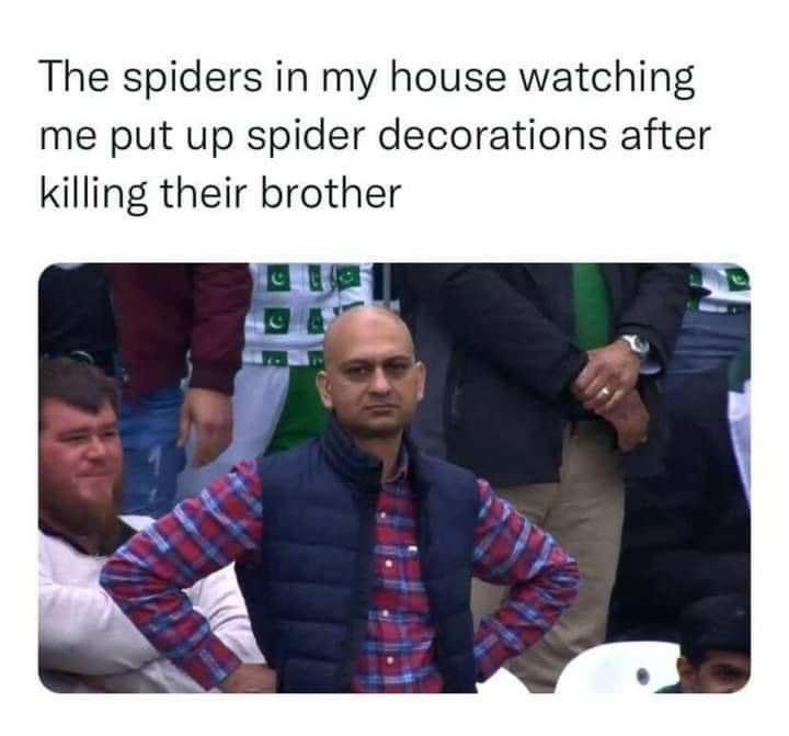 KiahJames3's tweet photo. I like the idea of spiders 😂😂😂😂 https://t.co/G4gIHpFfTv