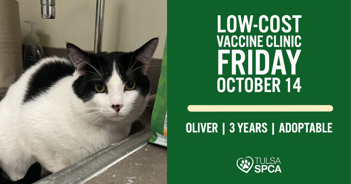 Tulsa_SPCA's tweet photo. The Tulsa SPCA Low-Cost Vaccination Clinic is open today (10/14) from 9:30am-3:30pm (closed 12:30-1:30pm). First come, first served. Services and pricing can be found at https://t.co/8D6WSMsbhW. Stop by to see us! #healthypets #tulsaspca https://t.co/lEloqqOOoW
