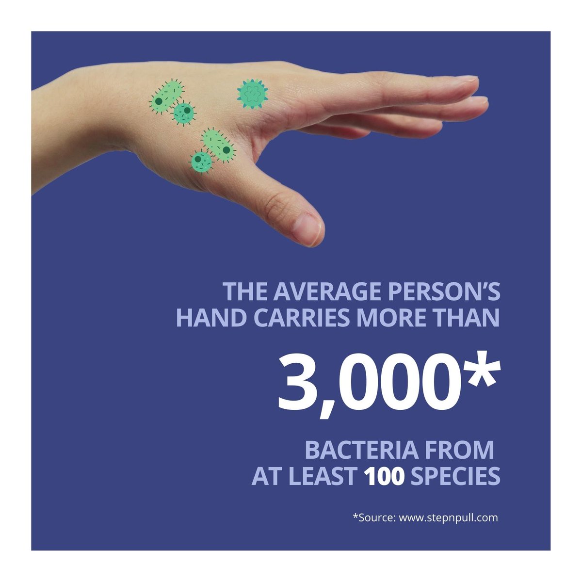 BYD Solutions Ltd tweet media