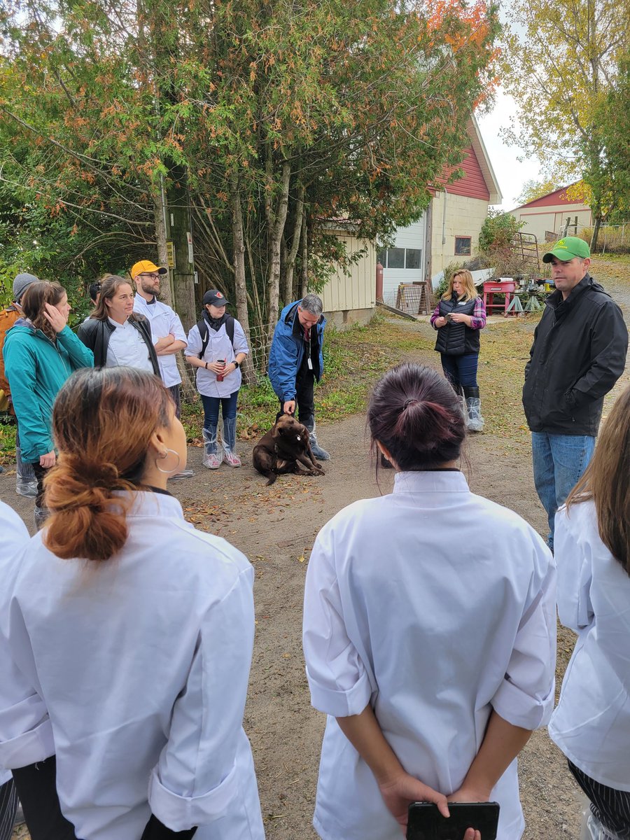 Touring Asphodel sheep farm today with <a href="/FarmFoodCareON/">Farm & Food Care Ontario</a> and #Fleming culinary students. #FFCO2022