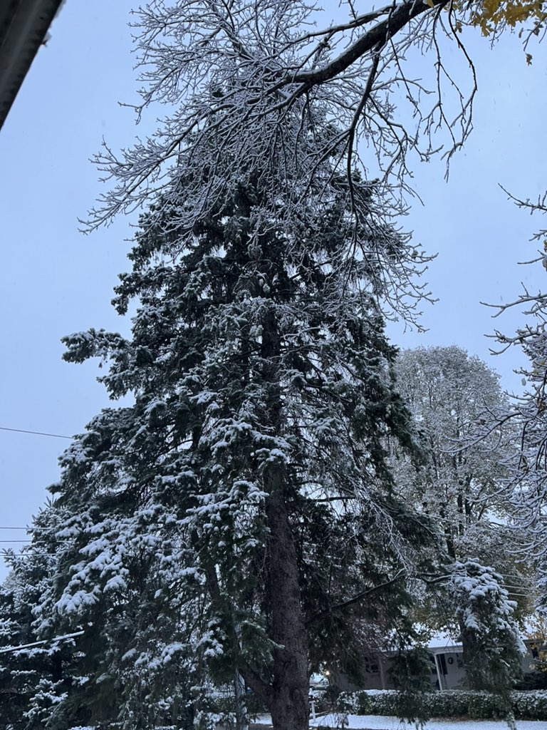 Andrew Olson, MD tweet media